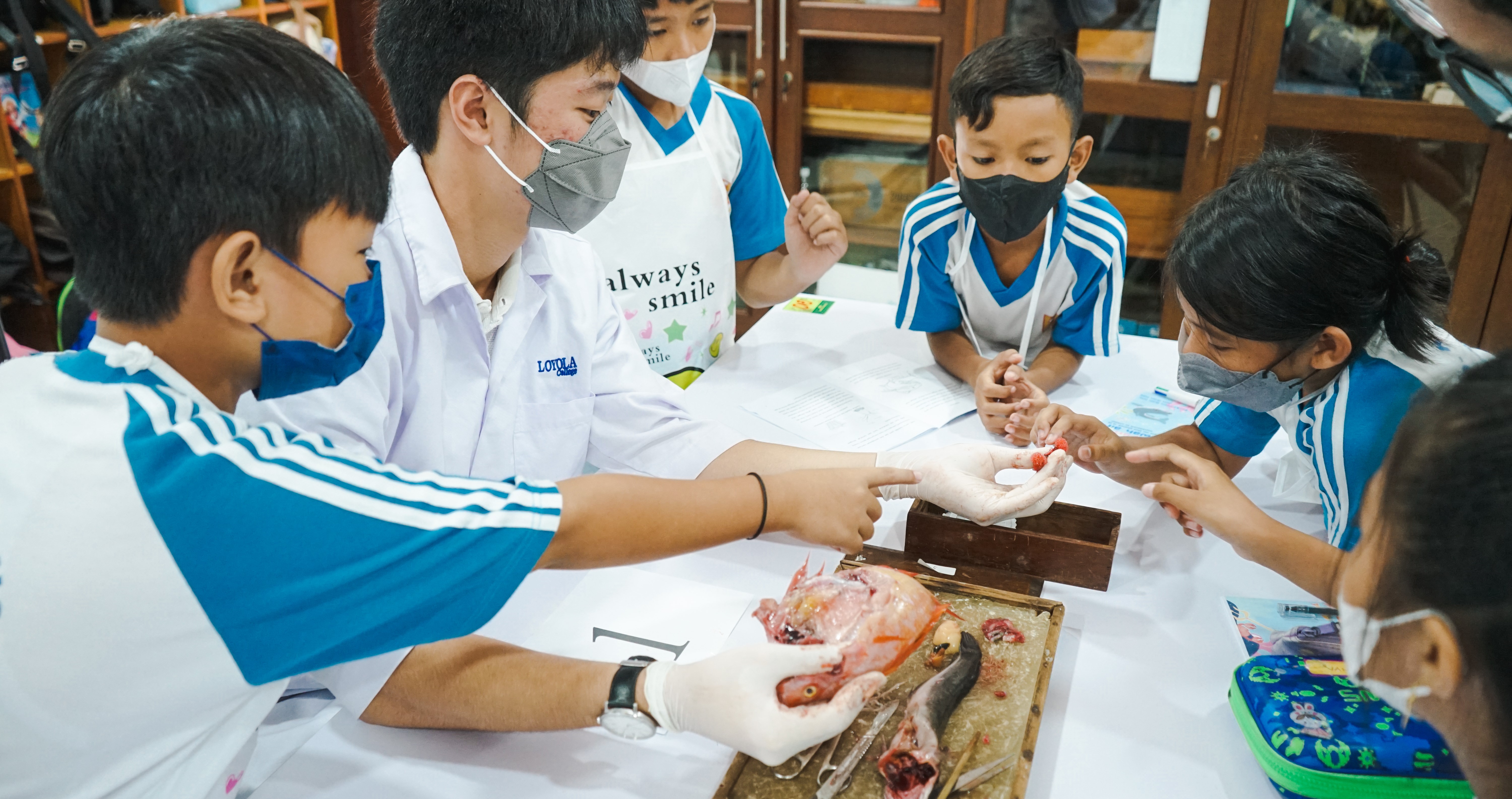 BELAJAR DI KOLESE LOYOLA