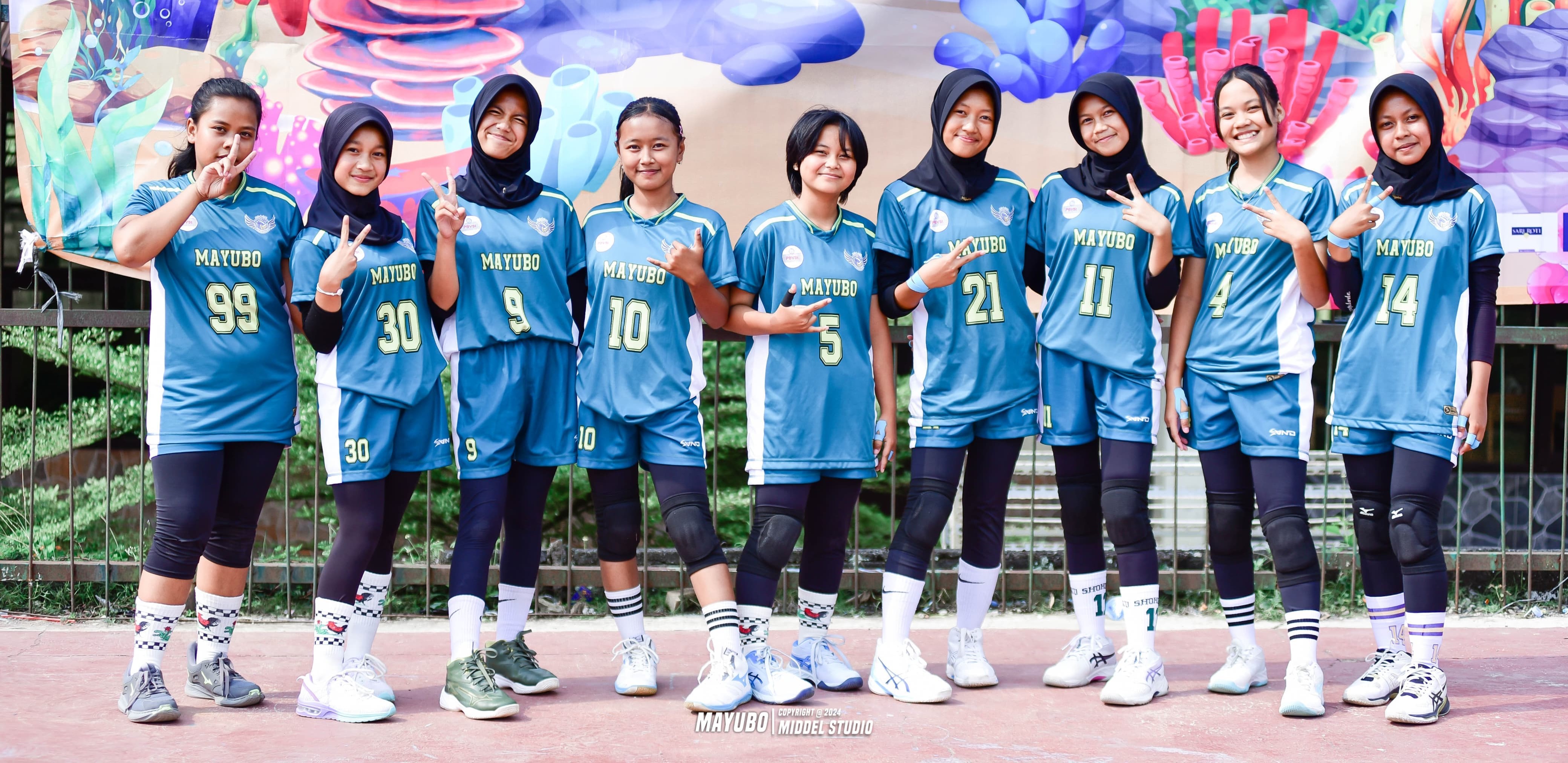 Volly