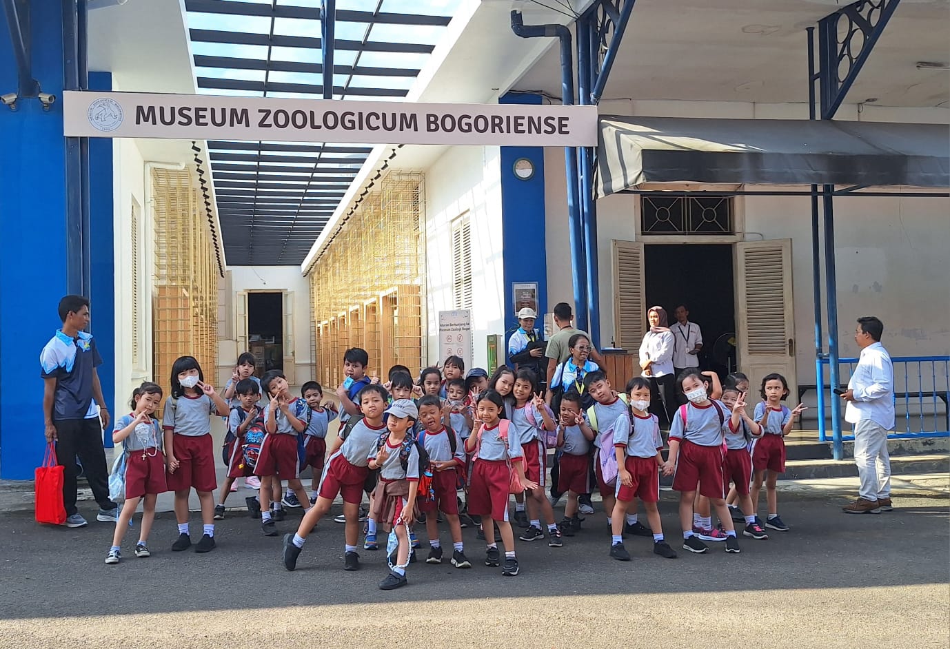 Museum Zoologi