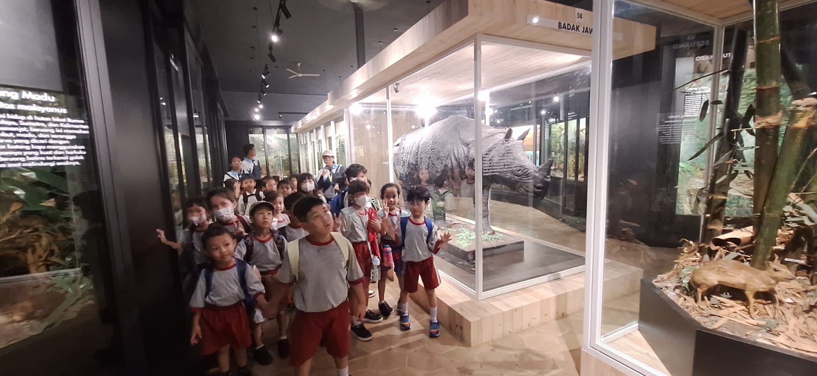 Museum Zoologi