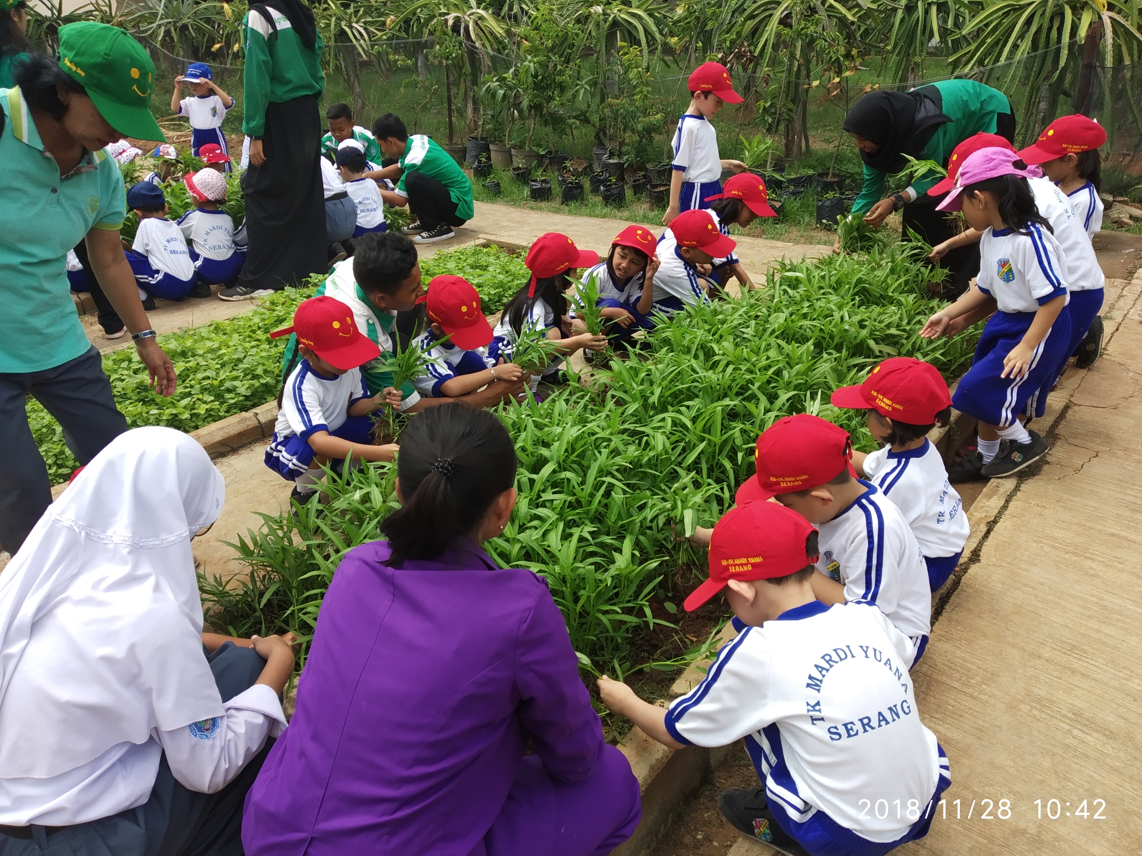 Mengenal Tanaman di SMK Pertanian